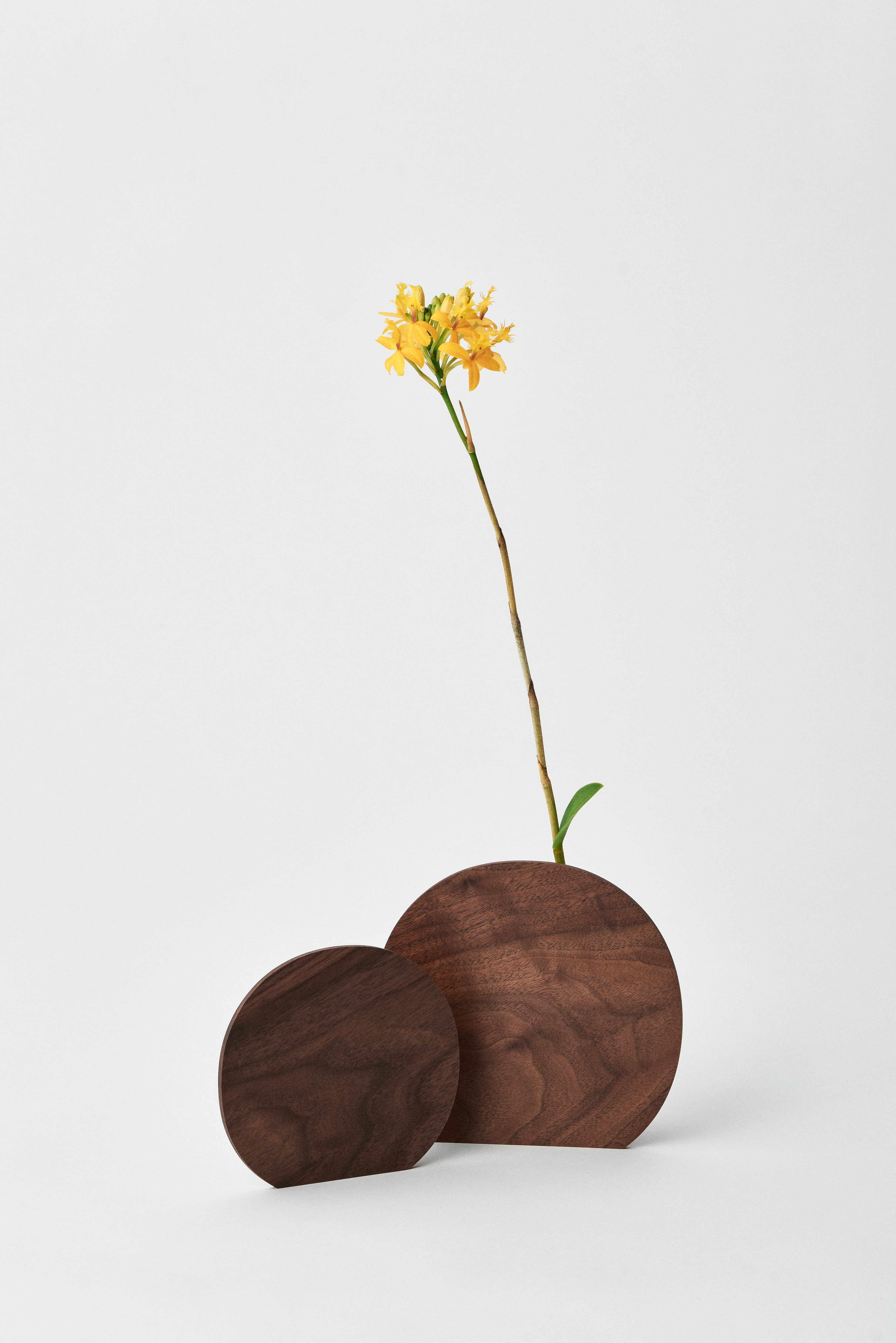 Palette vase ラージサイズ