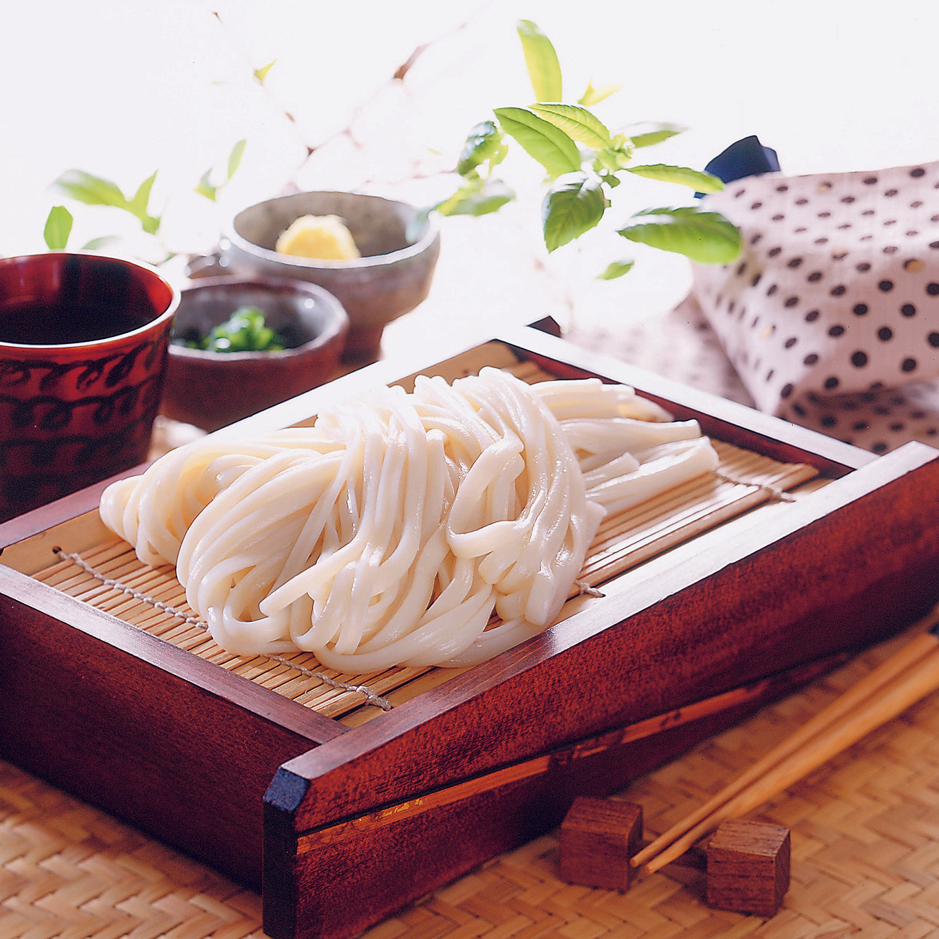 手延べ本葛うどん 92g×10本