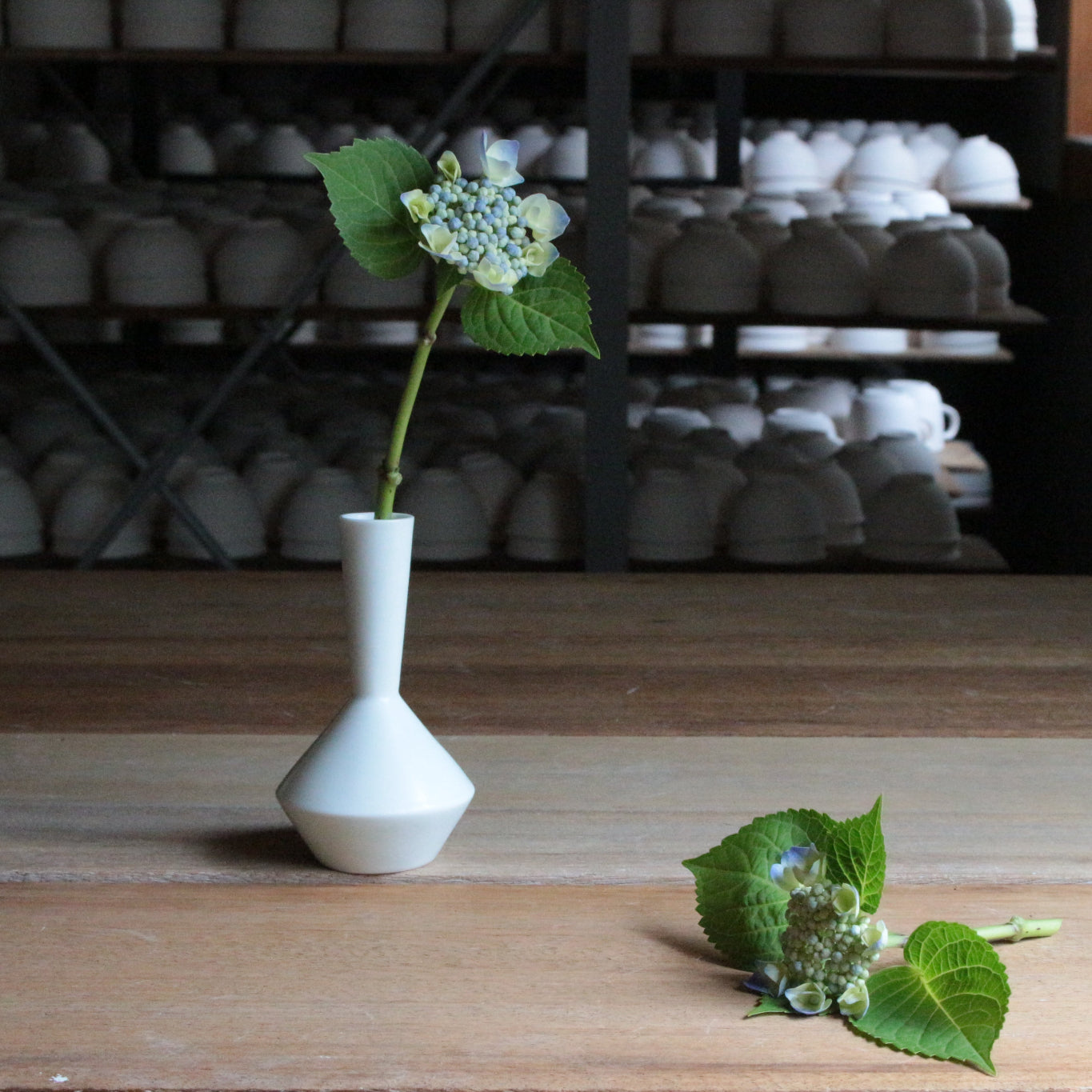 Frustum 一輪挿し