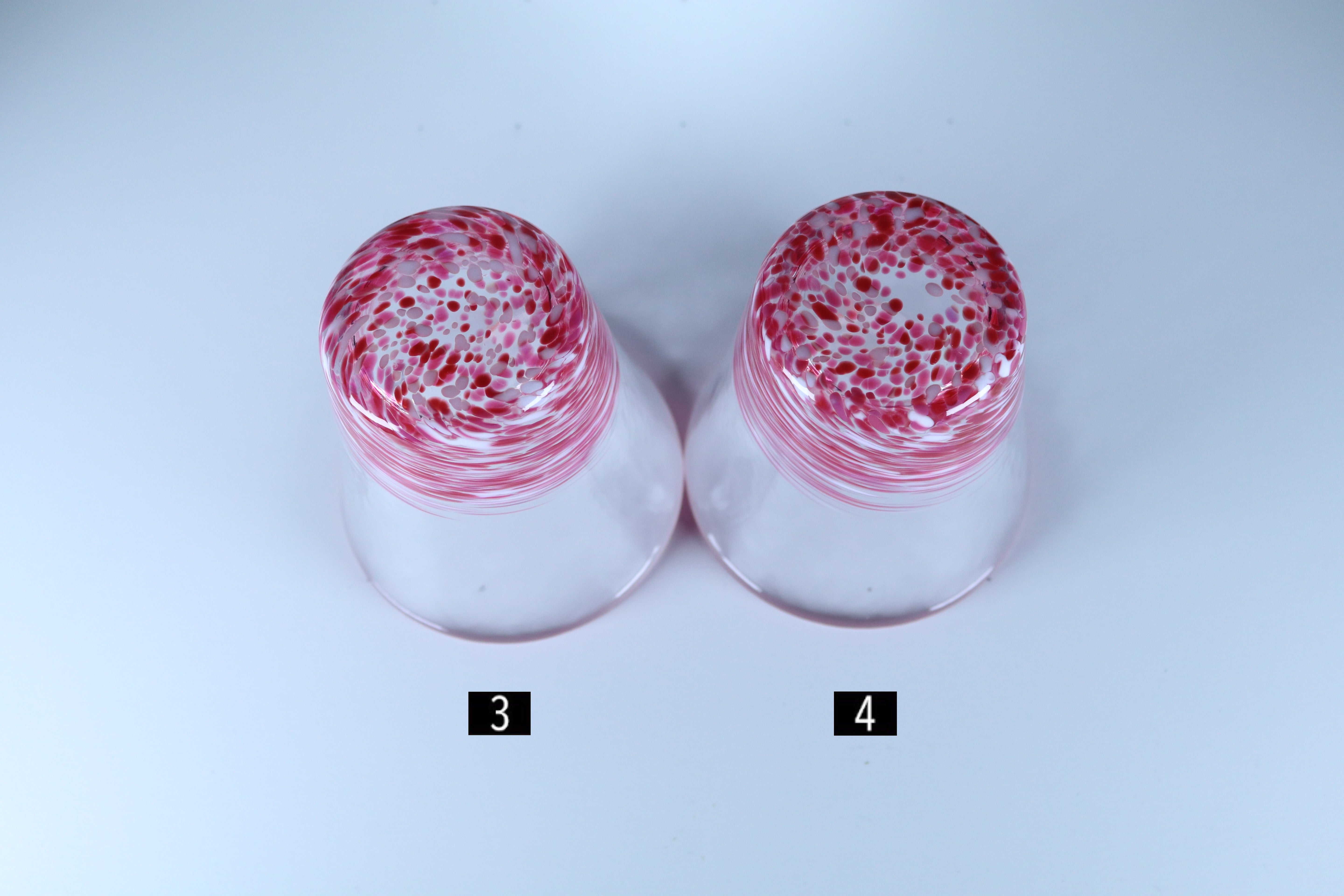 12色のグラス~桜~