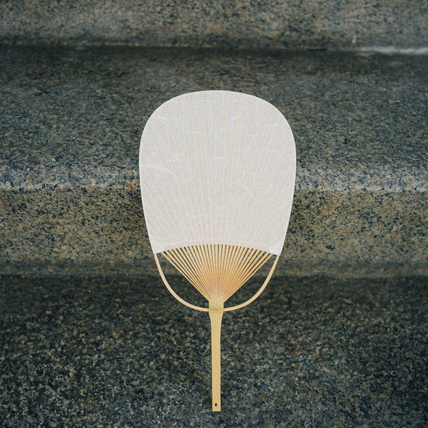 Marugame Uchiwa (Fan) Oval Cloud Dragon White