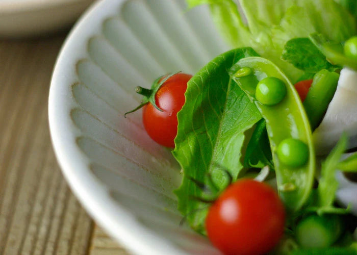 kinari 朝顔鉢（大）